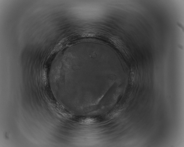 X0000100490312200807031922