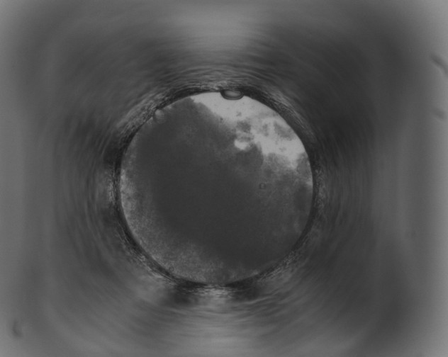 X0000100490313200807031922