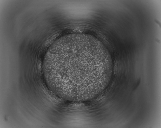 X0000100490314200807031922