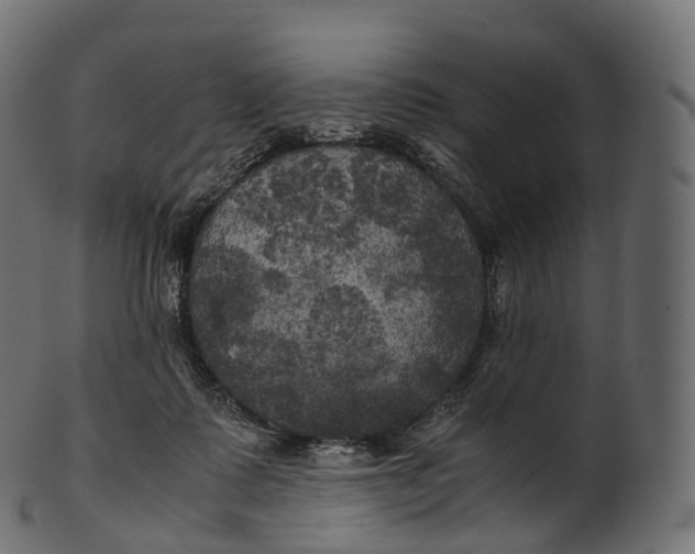 X0000100490315200807031922