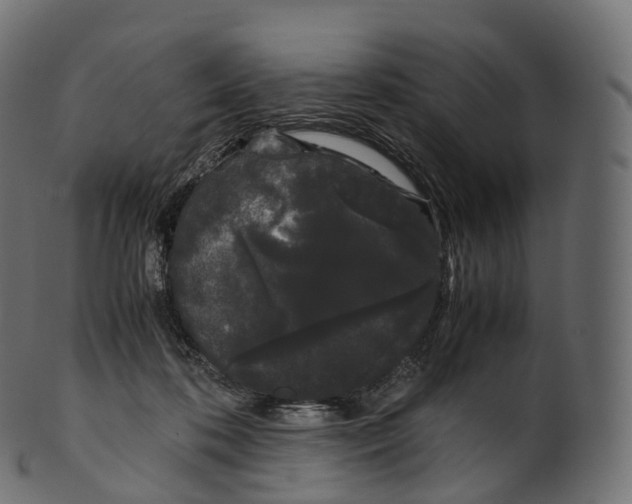 X0000100490316200807031922