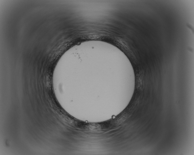 X0000100490317200807031922