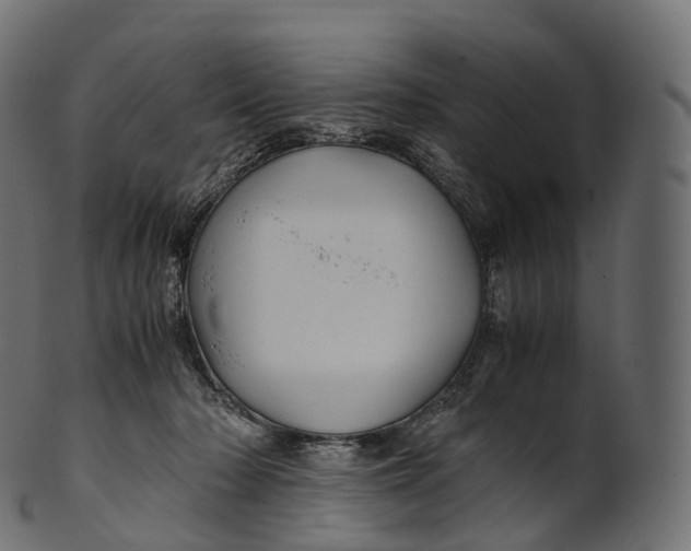 X0000100490318200807031922