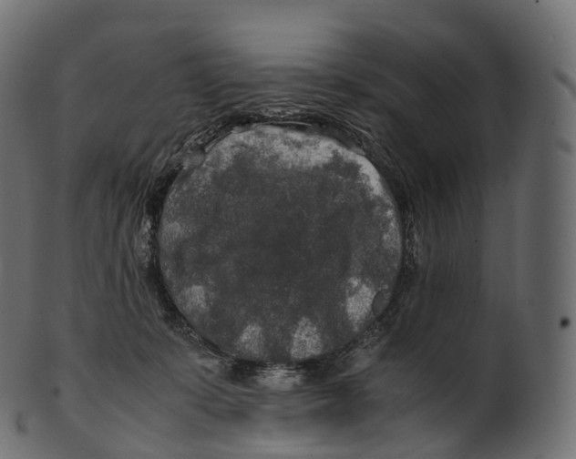 X0000100490319200807031922