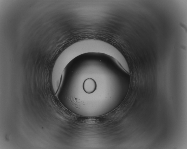 X0000100490320200807031922