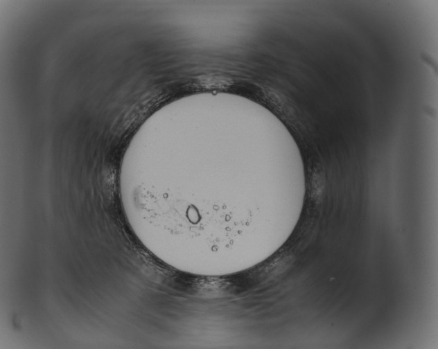 X0000100490321200807031922