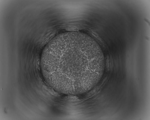 X0000100490322200807031922