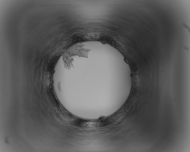 X0000100490323200807031922