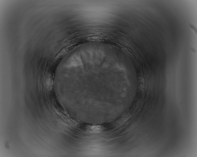 X0000100490324200807031922