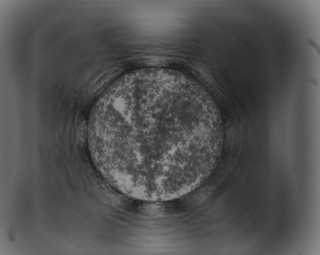 X0000100490325200807031922