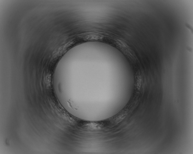 X0000100490326200807031922