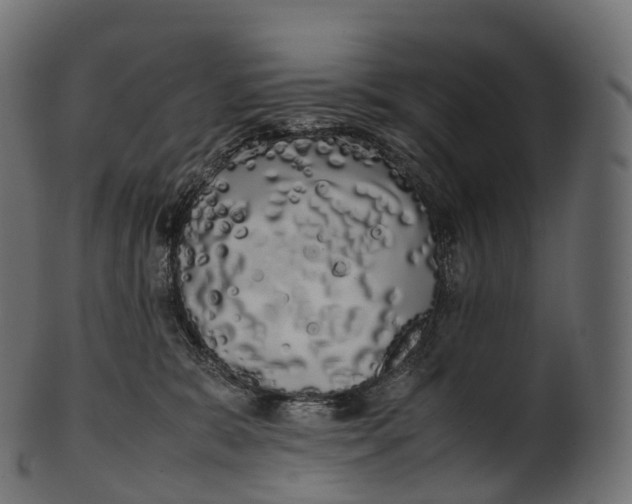 X0000100490327200807031922