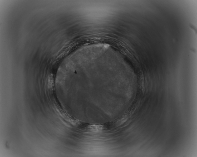 X0000100490328200807031922