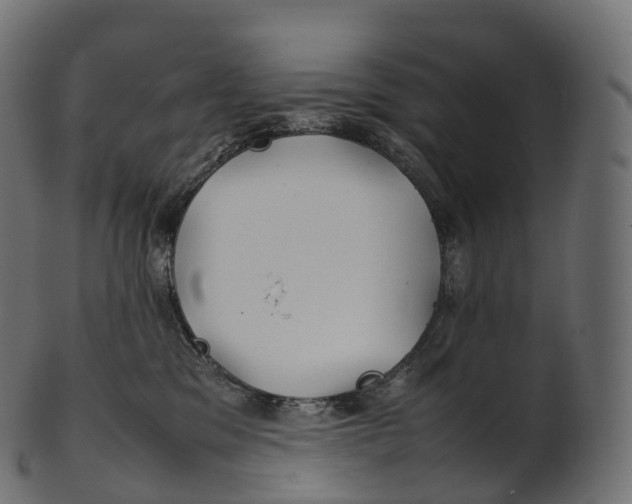 X0000100490329200807031922