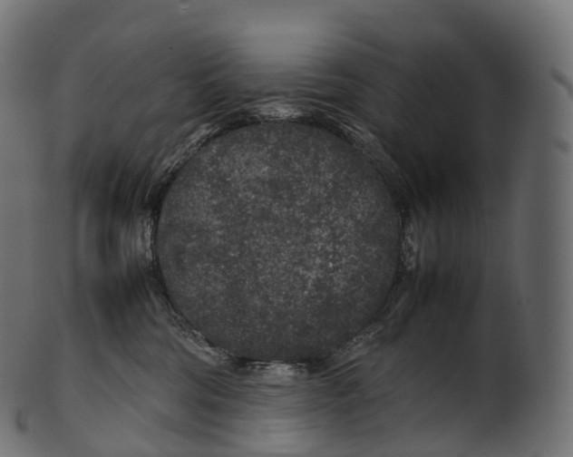 X0000100490330200807031922