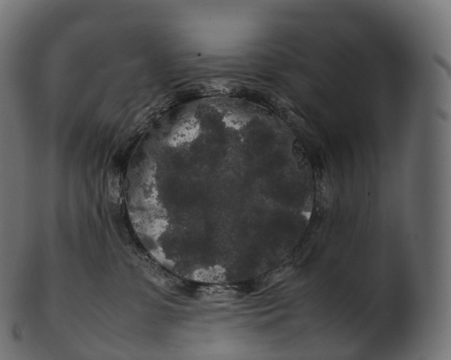 X0000100490331200807031922