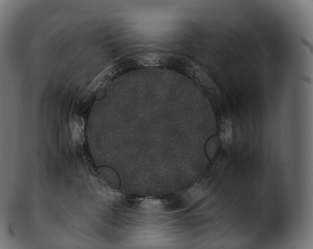 X0000100490332200807031922