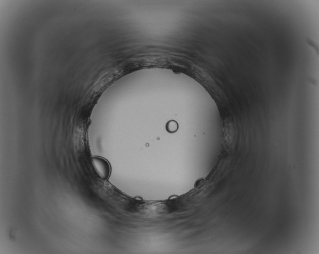 X0000100490333200807031922