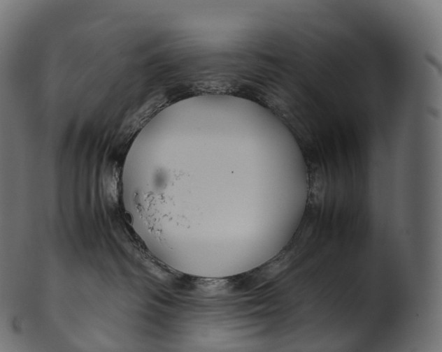 X0000100490334200807031922