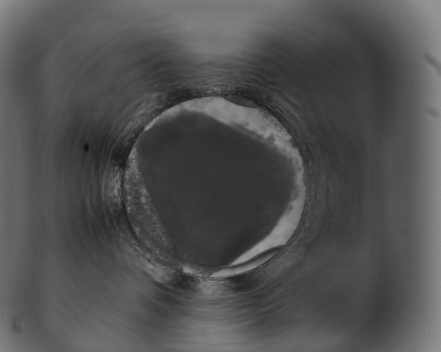 X0000100490336200807031922