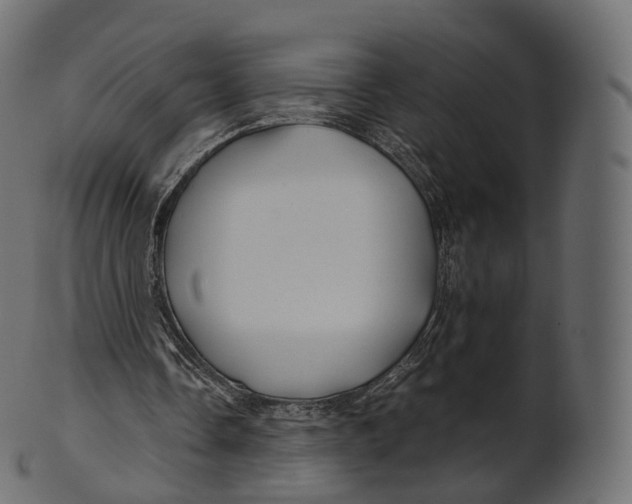 X0000100490338200807031921