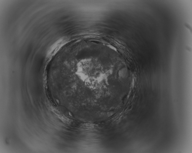 X0000100490339200807031921