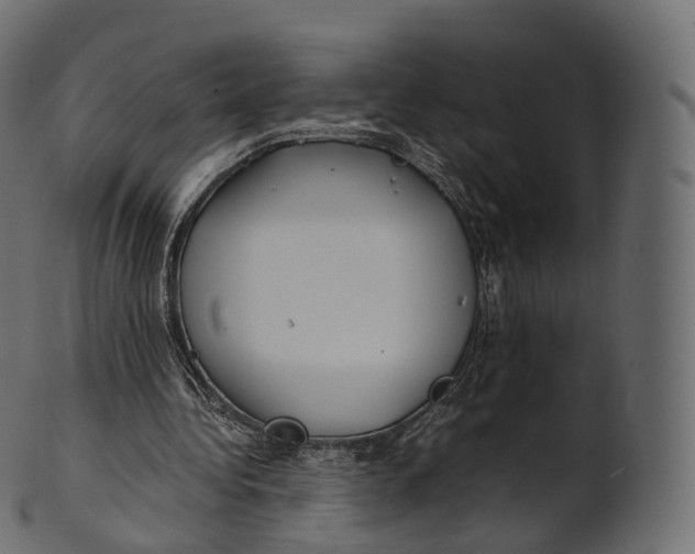 X0000100490340200807031921