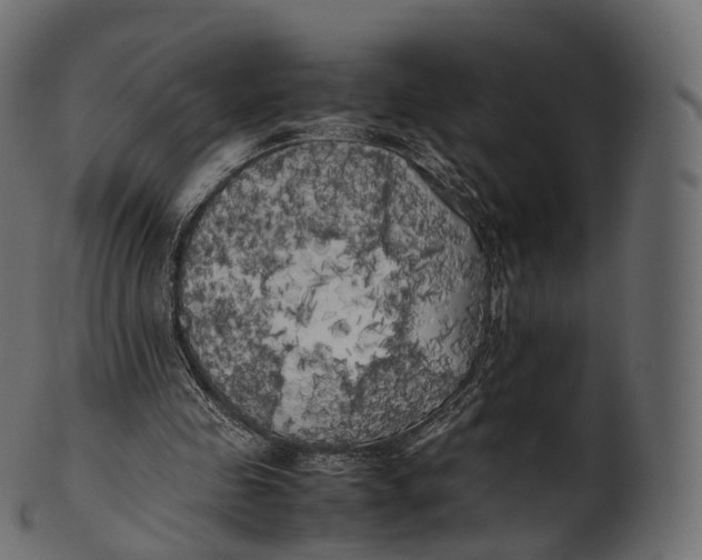 X0000100490341200807031921