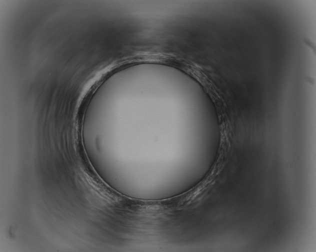 X0000100490342200807031921