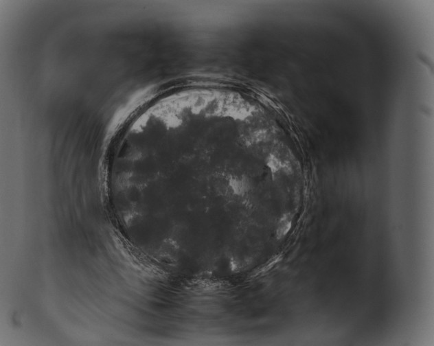 X0000100490343200807031921