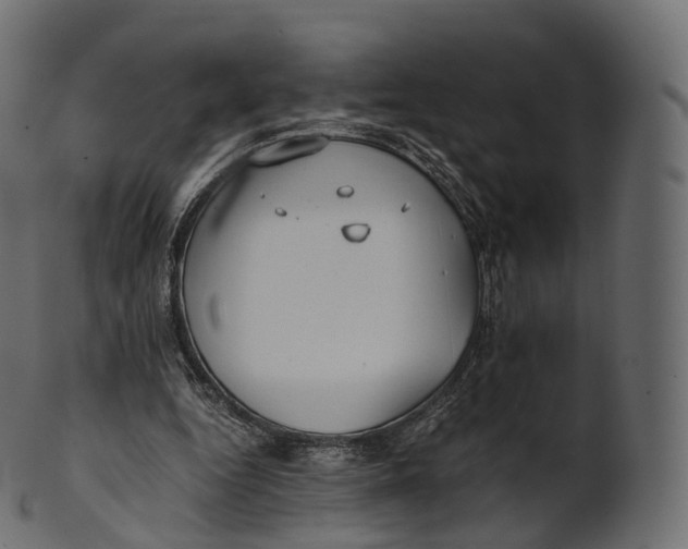 X0000100490344200807031921