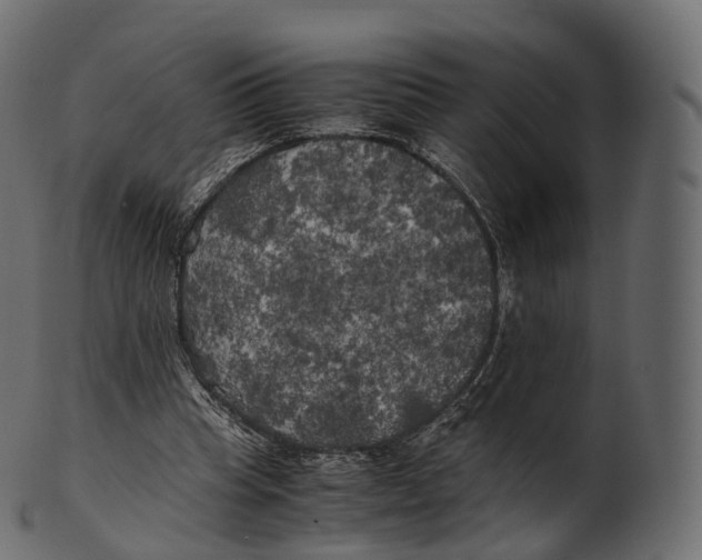 X0000100490345200807031921