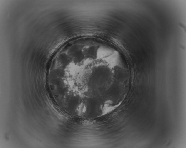 X0000100490346200807031922