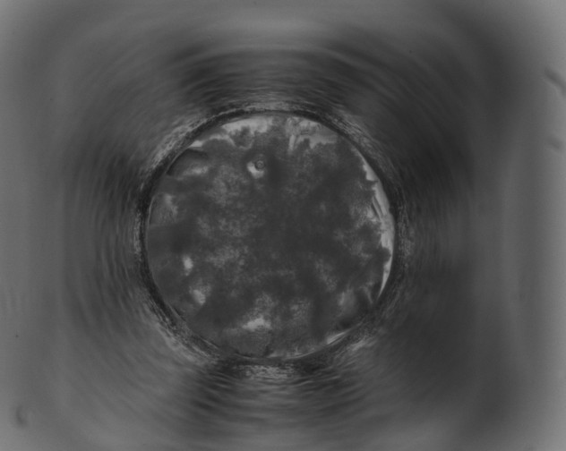 X0000100490347200807031922