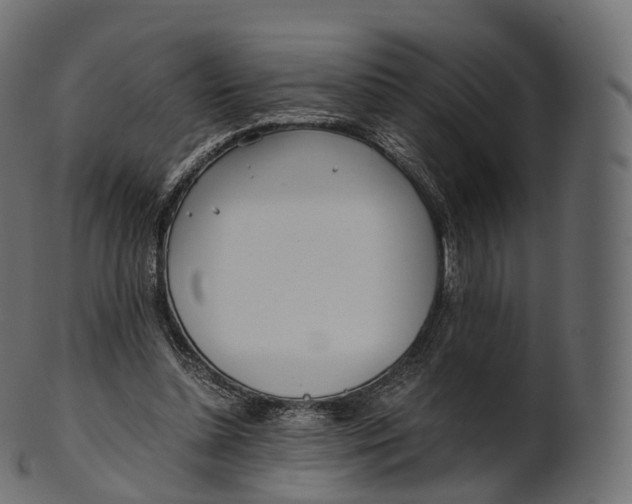 X0000100490348200807031922