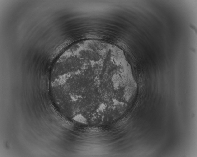 X0000100490349200807031922