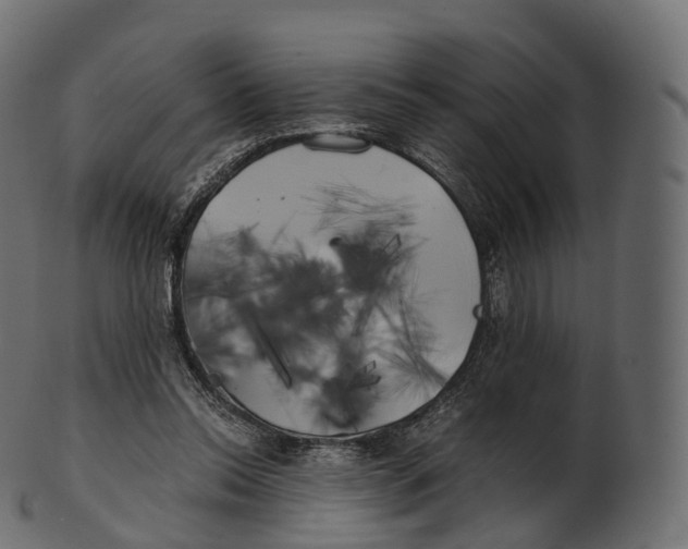 X0000100490350200807031922