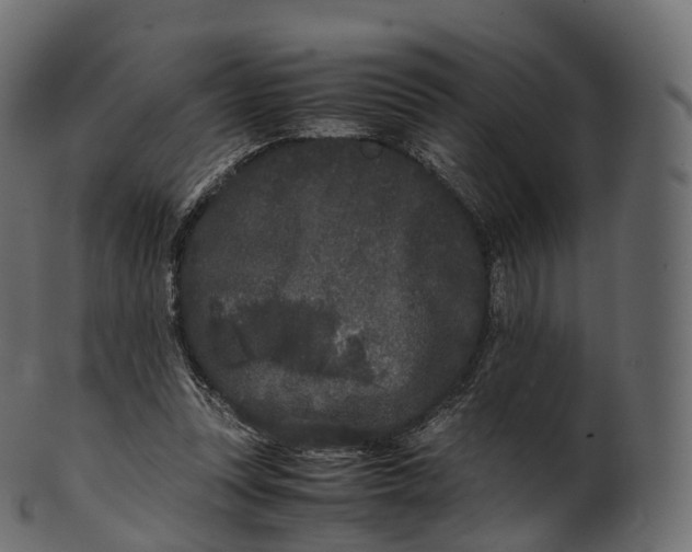 X0000100490351200807031922