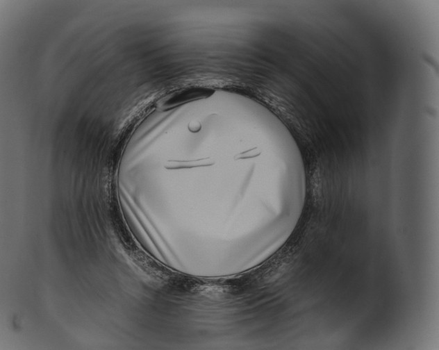 X0000100490352200807031922