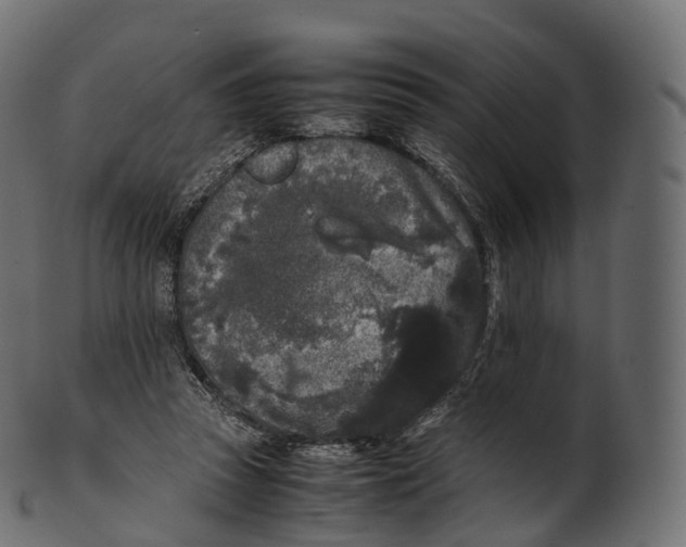 X0000100490353200807031922