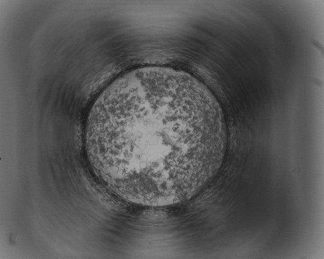 X0000100490354200807031922