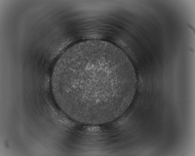 X0000100490355200807031922