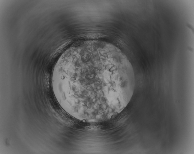 X0000100490356200807031922