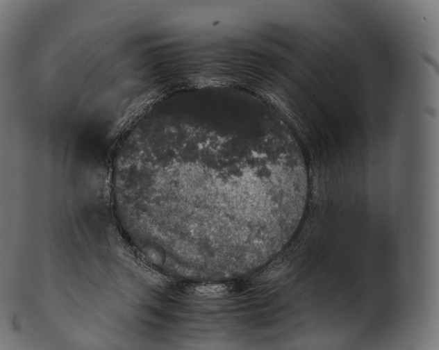 X0000100490357200807031922