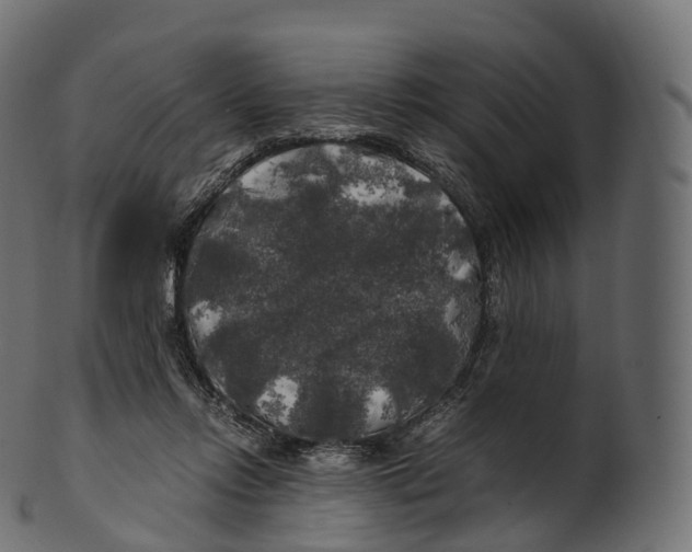 X0000100490358200807031922