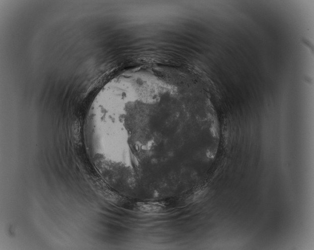 X0000100490359200807031922