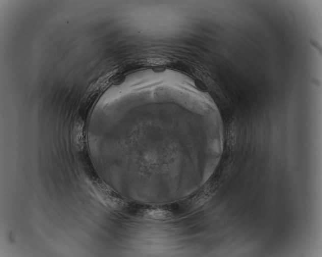 X0000100490360200807031922