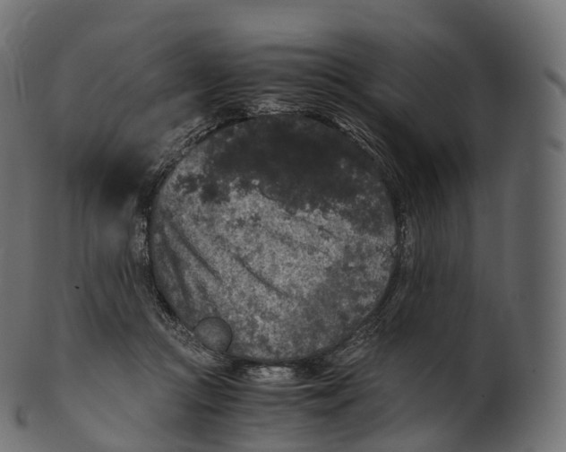 X0000100490361200807031922