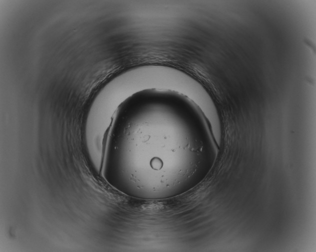 X0000100490362200807031922