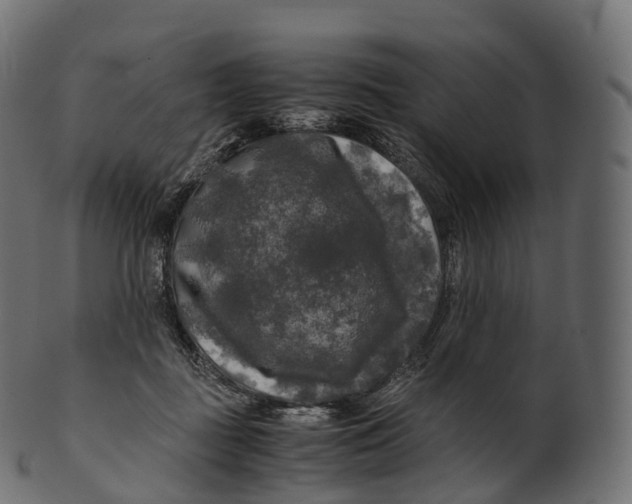 X0000100490363200807031922